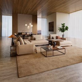 Rolf_Benz_Investorenkonsortium_001